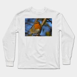 Robin in winter sunshine Long Sleeve T-Shirt